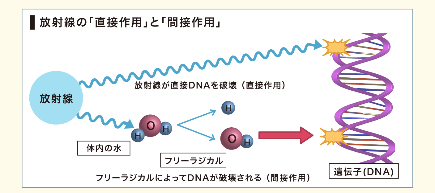 findmeセカンドオピニオン
