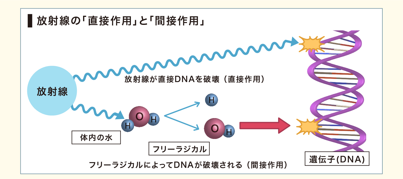 findmeセカンドオピニオン