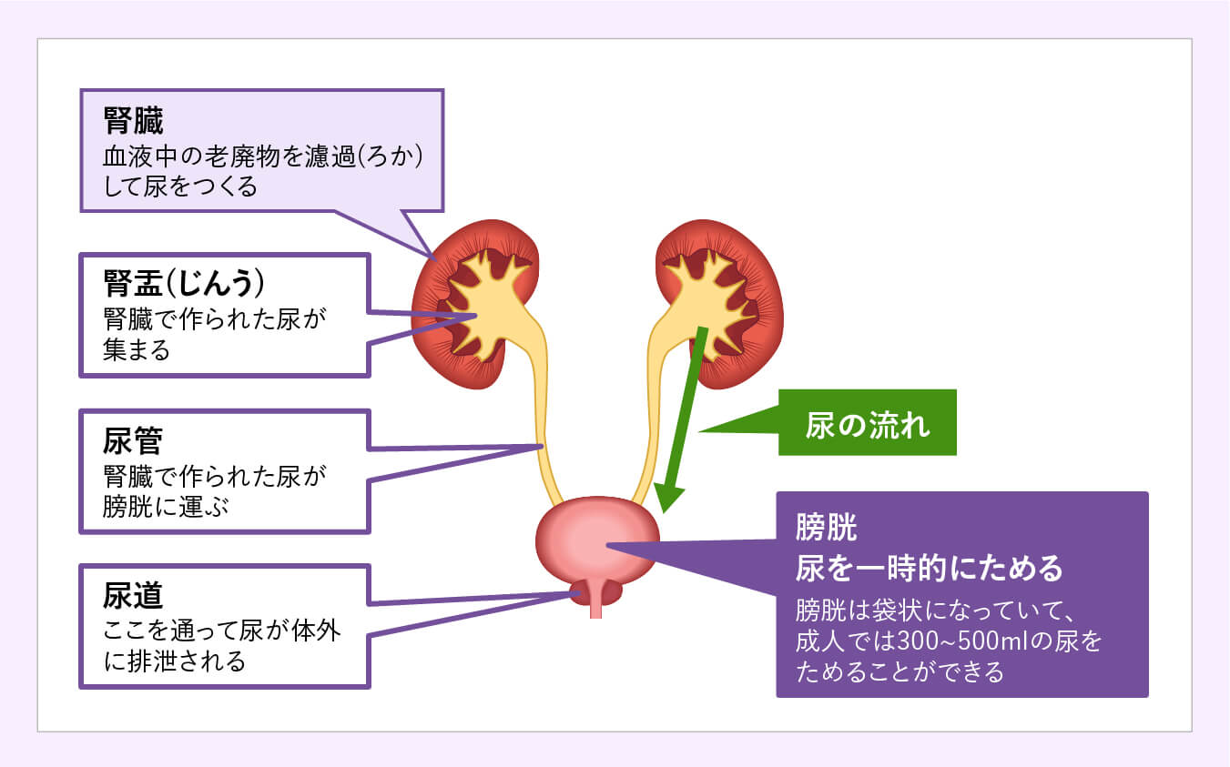 膀胱がんの治療