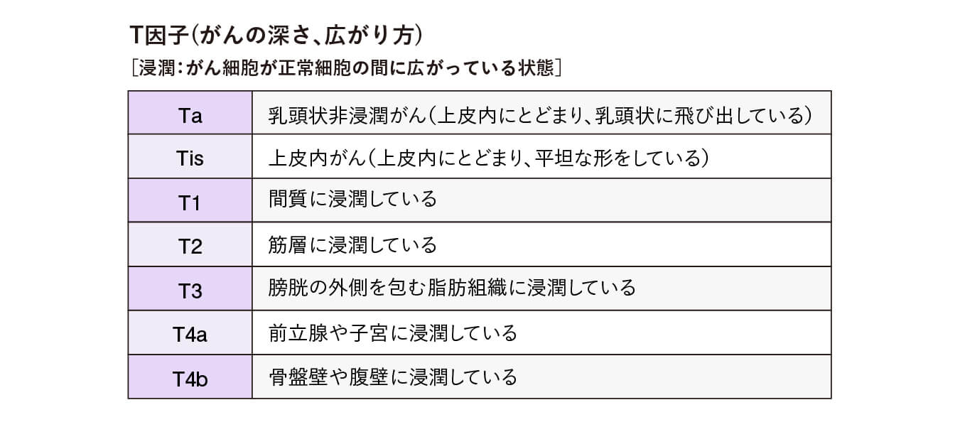 T因子(がんの深さ、広がり方)