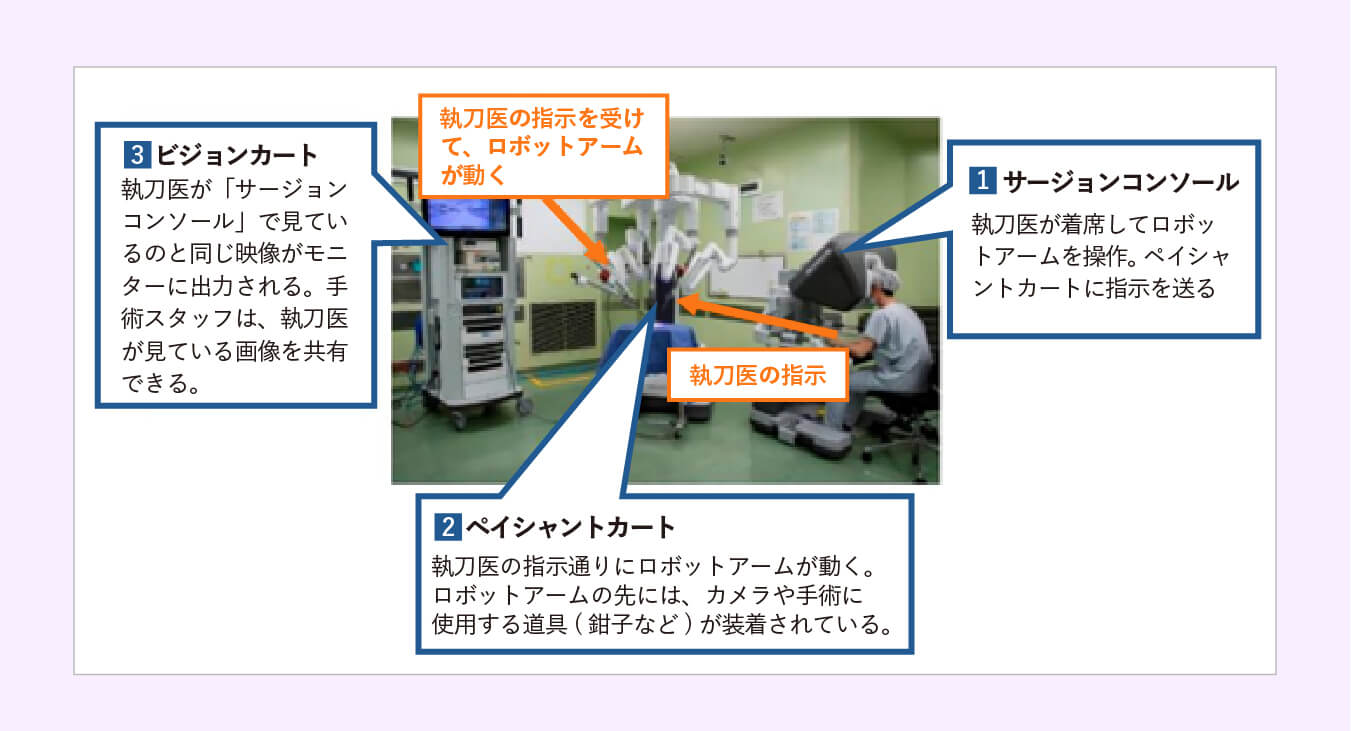 1) ダヴィンチの構成