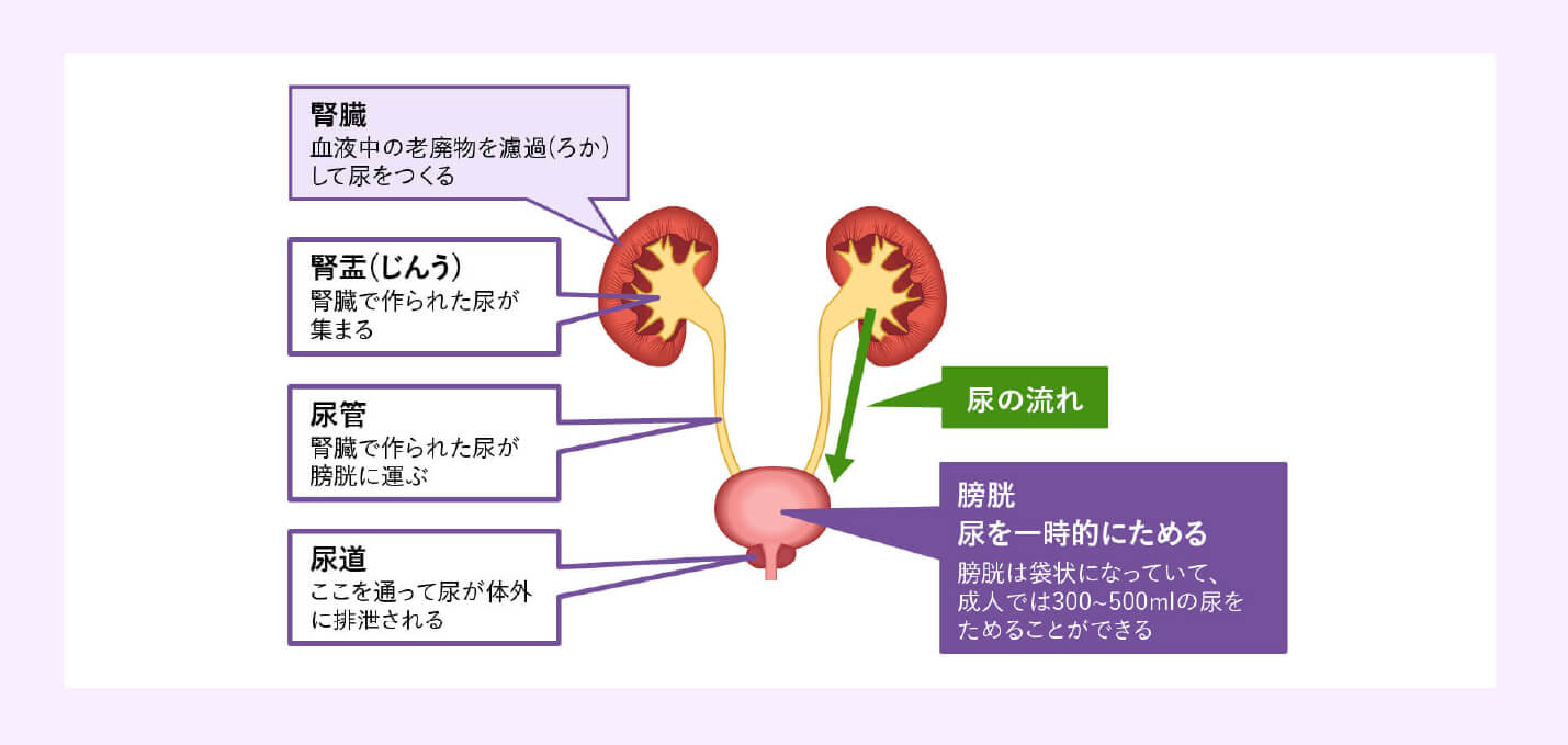 その他の治療法