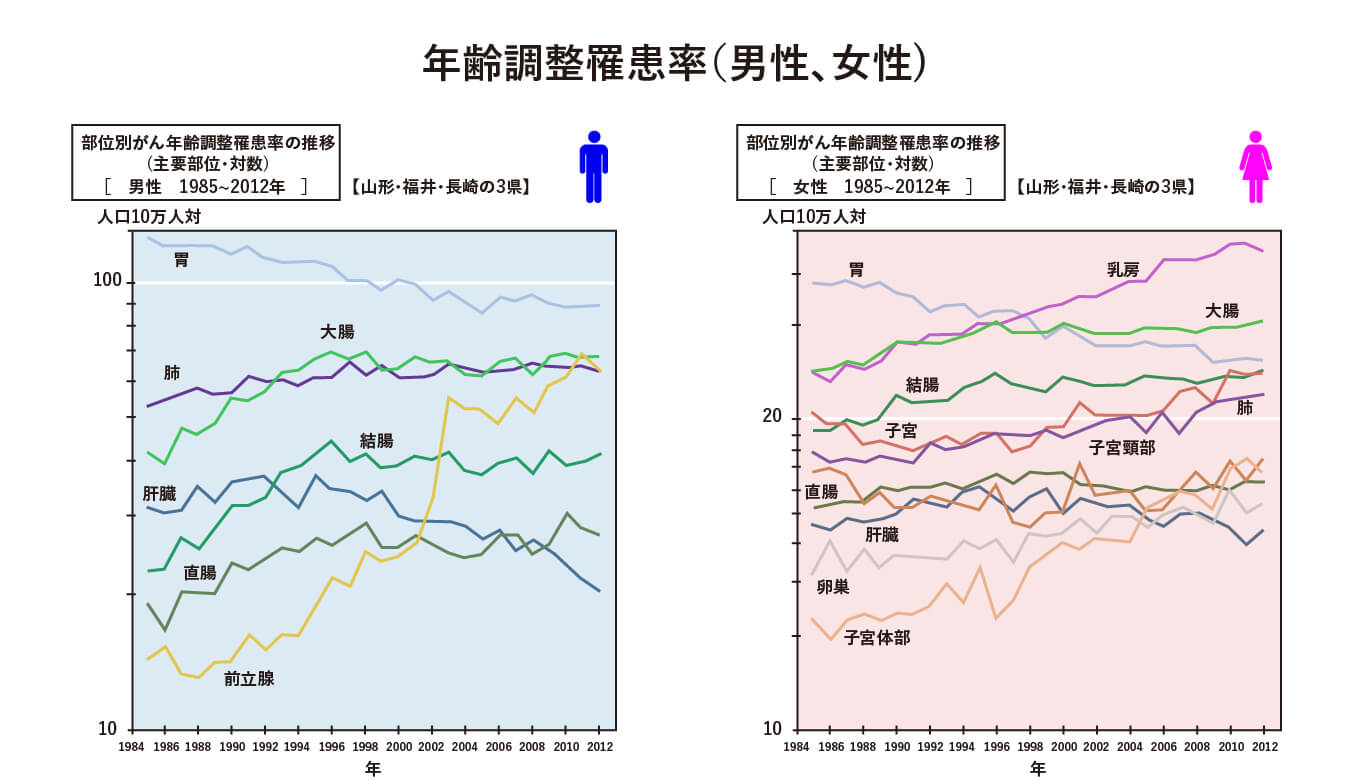 年齢調整罹患率(男性、女性)