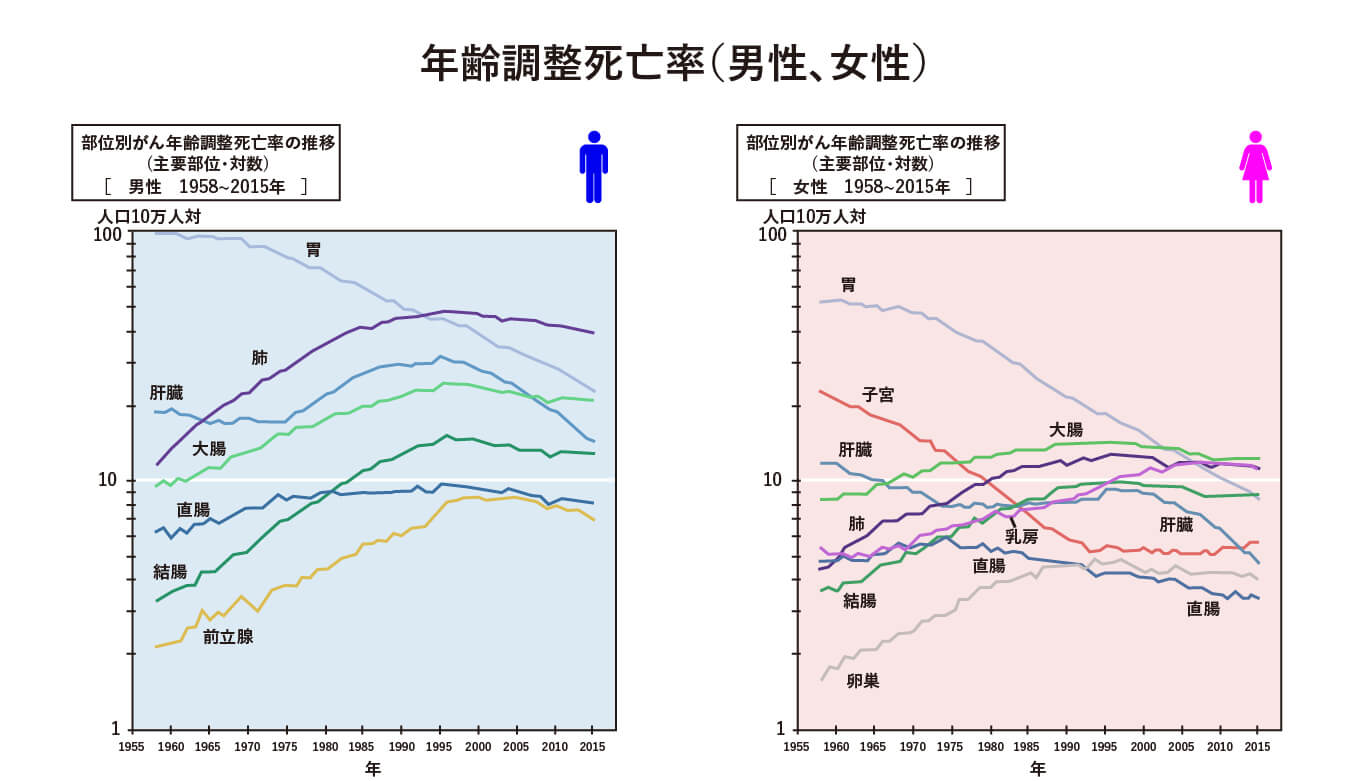年齢調整死亡率(男性、女性)